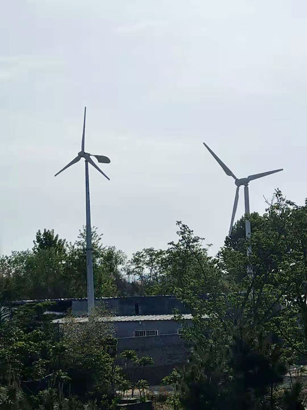 pitch control wind turbine generator 10kw